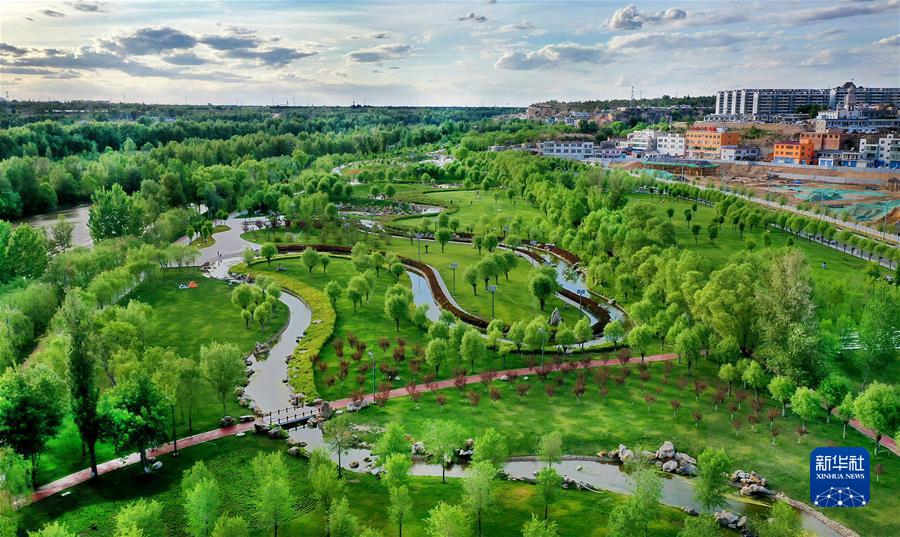 （新華全媒頭條·聚焦生物多樣性大會(huì)·圖文互動(dòng)）（4）攜手同行，開(kāi)啟人類(lèi)高質(zhì)量發(fā)展新征程——習(xí)近平主席在《生物多樣性公約》第十五次締約方大會(huì)領(lǐng)導(dǎo)人峰會(huì)上的主旨講話解讀