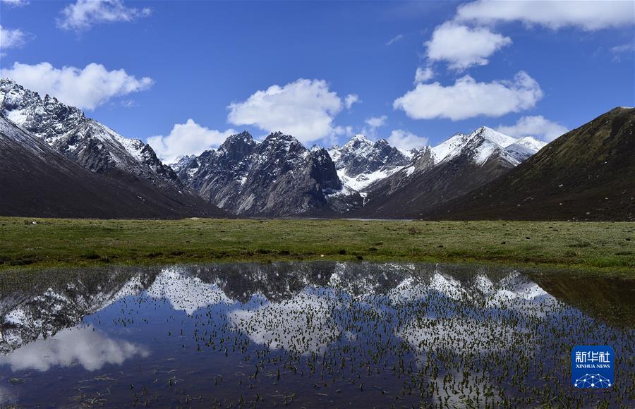 （新華全媒頭條·聚焦生物多樣性大會(huì)·圖文互動(dòng)）（7）攜手同行，開(kāi)啟人類(lèi)高質(zhì)量發(fā)展新征程——習(xí)近平主席在《生物多樣性公約》第十五次締約方大會(huì)領(lǐng)導(dǎo)人峰會(huì)上的主旨講話解讀