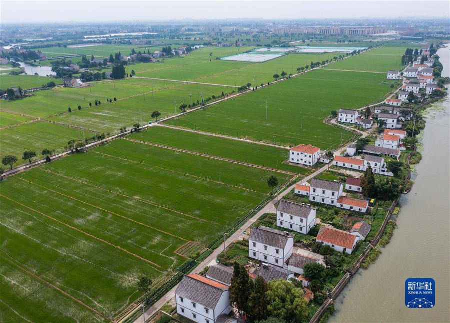 (新華全媒頭條·圖文互動)(5)從百年黨史汲取不懈奮斗的力量——與會同志談黨的十九屆六中全會精神